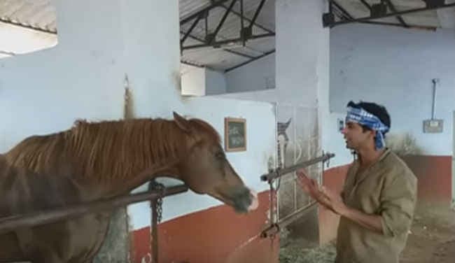 ...जब ''गुत्‍थी'' ने पूछा घोड़े से शो को लेकर ये सवाल, देखें वीडियो