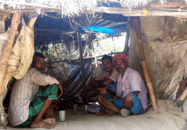 बिहार में बासी ताड़ी पीने से खराब हो रहा लिवर, IGIMS में 25 मरीज भर्ती, रोजाना आ रहे पांच मरीज