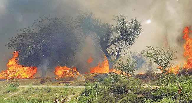 कड़ी धूप व तेज पछुआ का कहर : सात बच्चों समेत 18 लोगों की मौत
