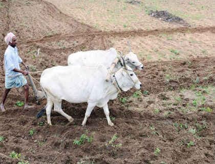 खुशखबरी ! पटना का गांधी मैदान बनेगा अंतरराष्ट्रीय कृषि मेला का गवाह, जानें
