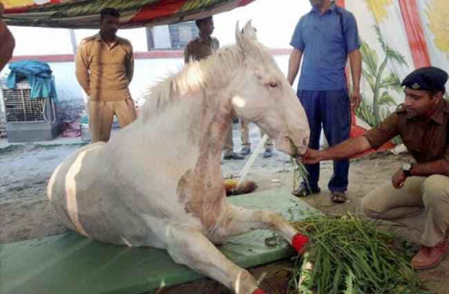 रावत राज आते ही शक्तिमान को दी गयी श्रद्धांजलि, रिस्पना चौक अब शक्तिमान चौक बना
