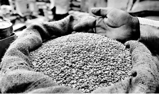 दाल और तपेदिक के बहाने