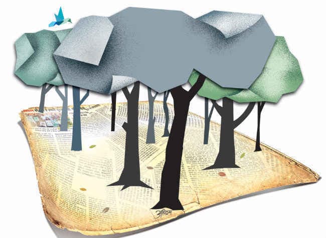 हकीकत में नहीं, कागजों में बढ़ रहे हैं जंगल