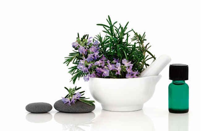 रोजमेरी की सुगंध बढ़ाती है याददाश्त