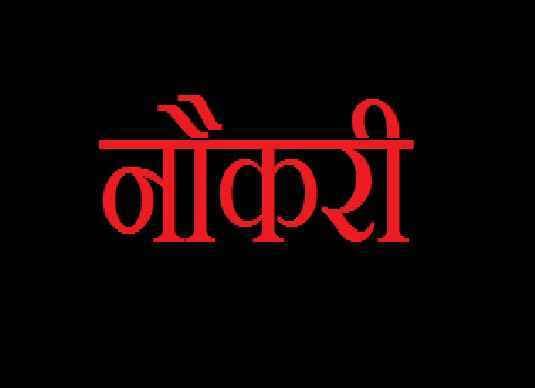 पैसा नहीं आदर्श नौकरी को प्राथमिकता देते हैं भारतीय