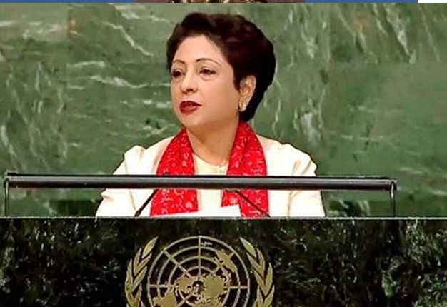 पाक ने सुरक्षा परिषद में अमेरिका के ड्रोन हमले का मुद्दा उठाया