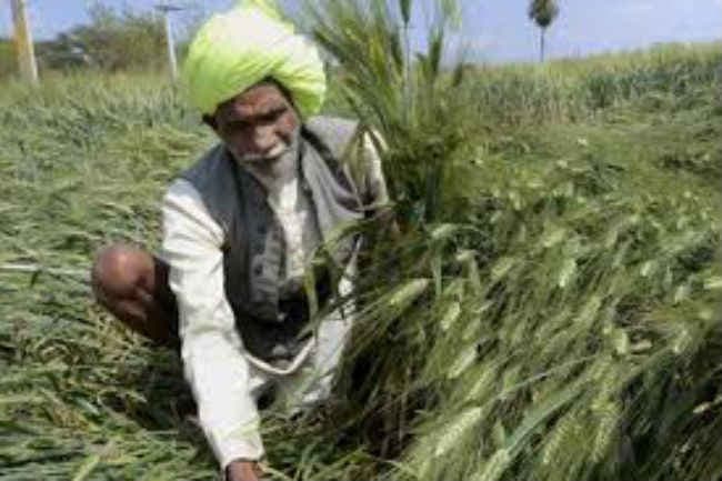 कृषि प्रधान होने का भ्रम