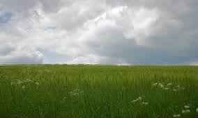 बेहतर मानसून से सुधरेगी अर्थव्यवस्था, अच्छी खेती से इक्विटी मार्केट के उर्वरक-रसायन, बीज और ट्रैक्टर के शेयरों में तेजी की उम्मीद