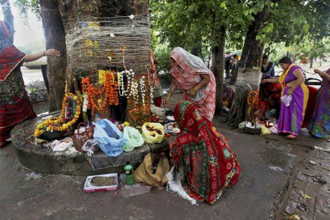 सोमवती अमावस्‍या: पीपल के वृक्ष की पूजा करने से होती है सौभाग्‍य की प्राप्‍ति