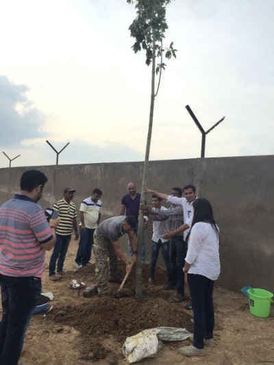 वृक्षारोपण कर धौनी ने मनाया जन्मदिन, शुभकामनाओं के लिए फैंस को कहा थैंक्स