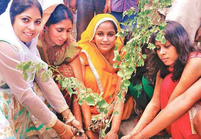 घर में चल रही थीं शादी की तैयारियां, किरण लगा रही थी पौधे