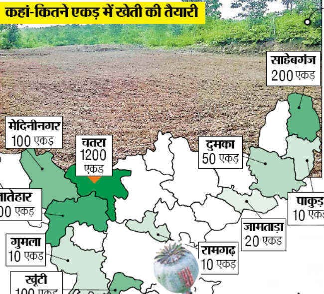 10 जिलों की 2450 एकड़ भूमि पर अफीम का धंधा