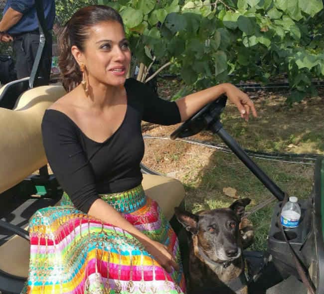 HAPPY B''DAY KAJOL: ''बेखुदी'''' से लेकर ''दिलवाले'''' तक का रोमांचकारी सफर, जानें 10 बातें...