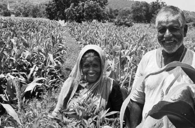 फसल का नहीं खेती का बीमा हो!