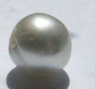 फिलिपींस के मछुआरे के पास दुनिया का सबसे बड़ा मोती, 10 वर्षों से रखा था छिपाकर