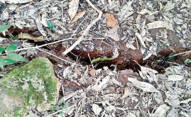 सरूअत पहाड़ी पर भूमि में दरार, लोगों में दहशत