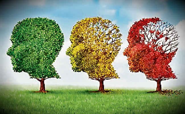 मांस, मीठे और वसा से दूरी जरूरी