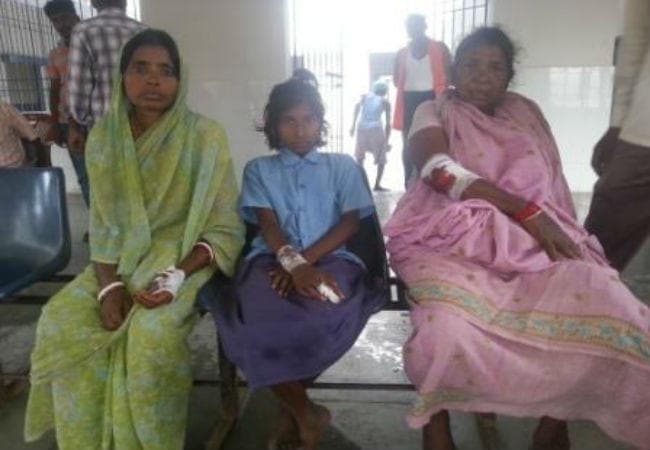 Bihar : भोजपुर के एक गांव में जब रात को पागल सियार ने किया हमला, पढ़ें