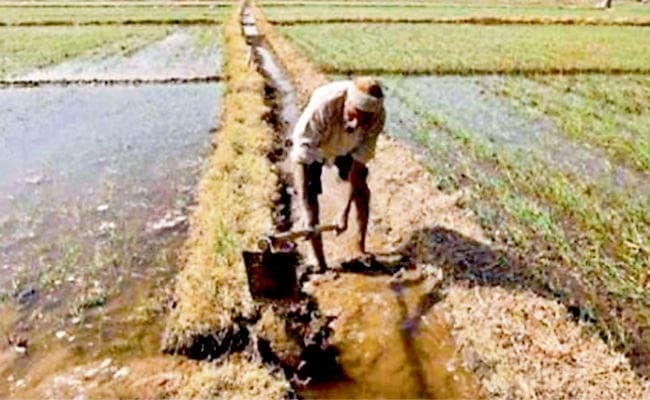 जमुई : जब पिता ने शराब छोड़ संभाला घर का काम, तो बेटे को मिला पढ़ने का अवसर