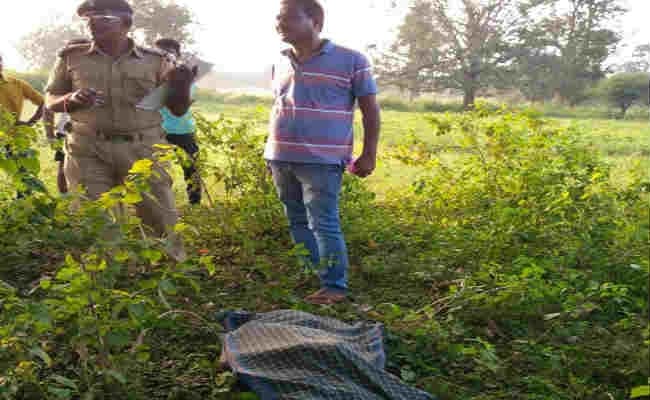 पिता-पुत्र खेत में काम कर रहे थे, आसमान से गिरी मौत और खेत में बिछ गयी लाशें
