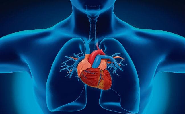 विविध तकनीकों के सहारे मुमकिन होगी हृदय की मरम्मत!
