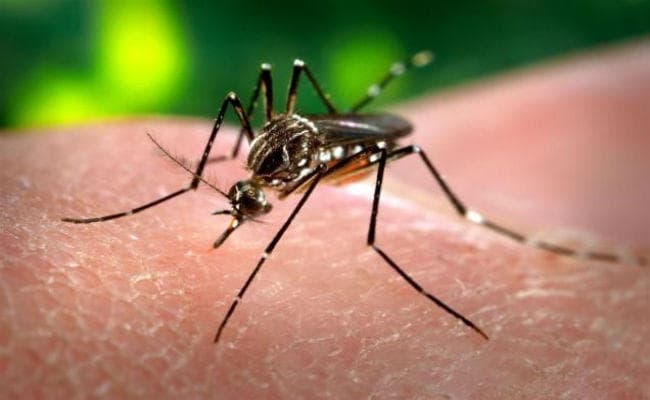 कोलकाता : अस्पताल से बैरंग लौटने को मजबूर डेंगू पीड़ित, भर्ती लेने से इनकार