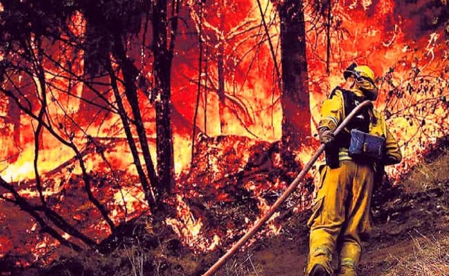 कैलिफोर्निया में कैदी बुझा रहे जंगल की आग