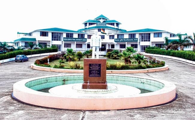 Jharkhand : बिरसा कृषि विश्वविद्यालय ने खोज लिया पलायन रोकने का उपाय!