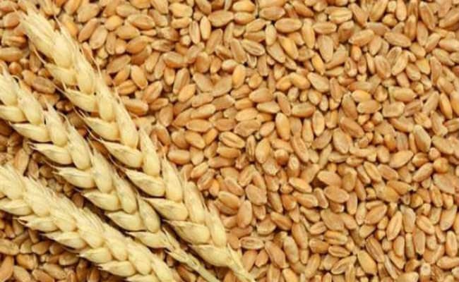 कैबिनेट की बैठक में गेहूं, चना और मसूर की एमएसपी में बढ़ोतरी का फैसला