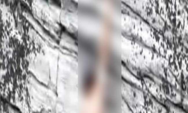 घूमने निकला युवक पहाड़ पर चढ़ा और वहां से कूदकर दे दी जान