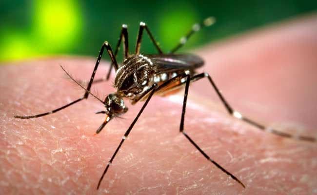 झारखंड : राधानगर में डेंगू से दूसरे दिन भी मौत