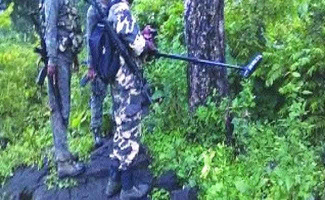 हमले की बड़ी साजिश नाकाम, कोडरमा के जंगल में मिला विस्फोटकों का जखीरा