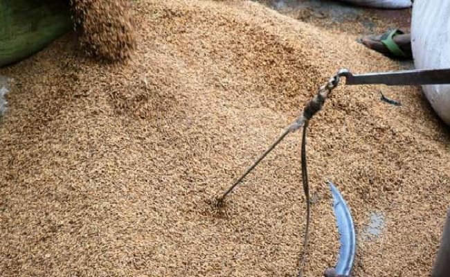 लाभ पहुंचाने के लिए किसानों से सीधे 6,000 करोड़ रुपये का धान खरीदेगी ममता सरकार