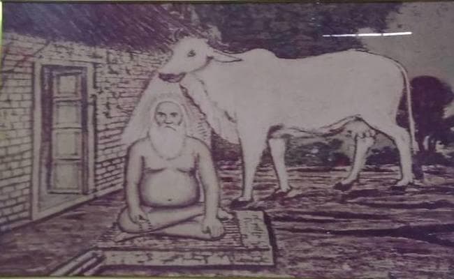 वह गाय जो गुरु नानक के कहने पर मुंह में गंगाजल भर कर लाती और पटना के जेतामल को स्नान कराती थी, पढ़ें