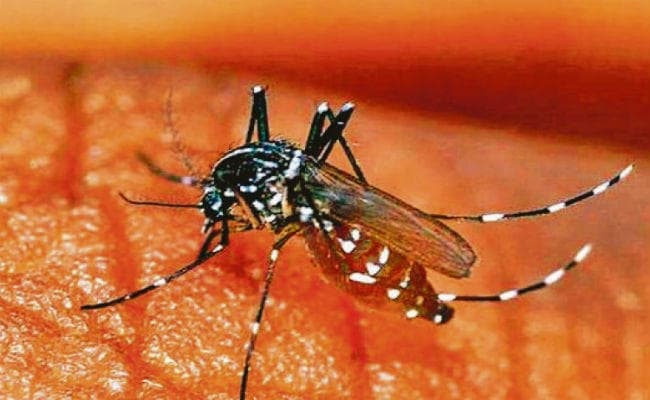 बंगाल : महानगर में डेंगू से युवक की मौत