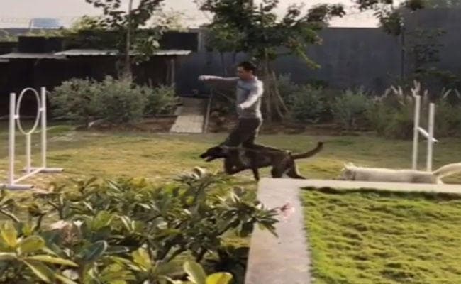 रांची में धौनी ने ढूंढ़ा नया जॉब, वीडियो देखकर चौंक जायेंगे आप