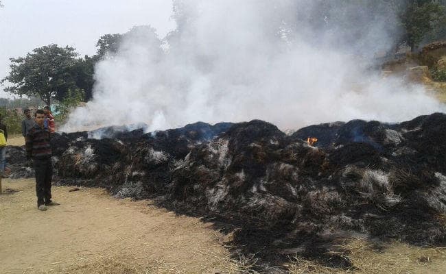 जल कर खाक हुआ खलिहान में रखा धान, किसान के सामने भूखमरी की स्थिति