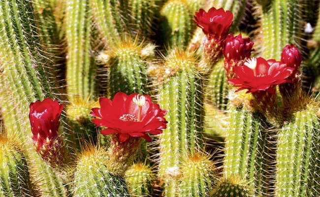 आलोचना से घबराएं नहीं, करें स्वागत