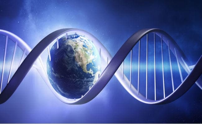 तो क्या इस तरह हुई धरती पर जीवन की शुरुआत...?