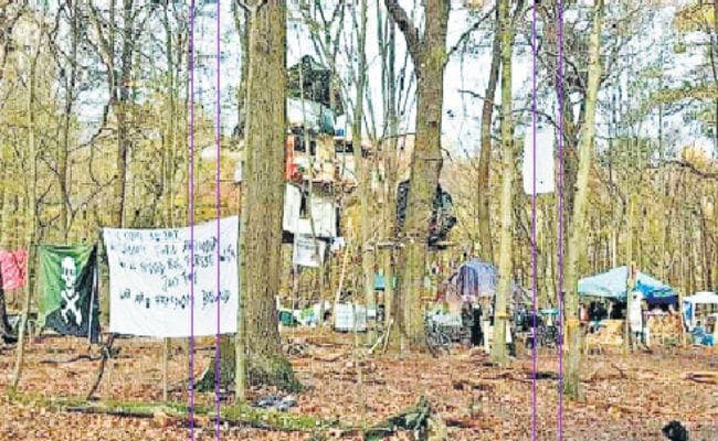 पर्यावरण संरक्षण : जर्मनी में जंगल बचाने को ‘चिपको आंदोलन’