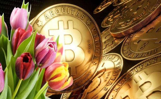 VIDEO : परवान चढ़ कर Bitcoin कहीं Tulip की तरह गिर न जाये...!