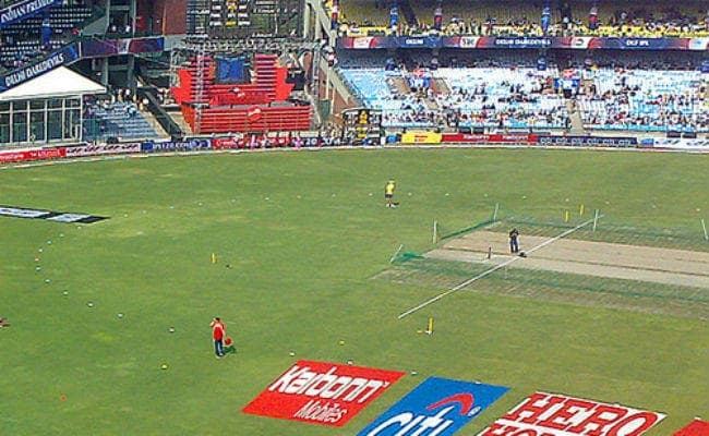 कोटला के मैदान पर फिर नजर आया कुत्ता, यहां पहले हो चु‍का है मधुमक्खियों का हमला