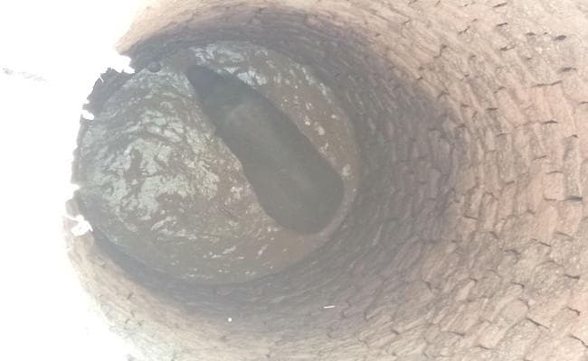 Exclusive : गुमला में 25 फीट गहरे कुएं में गिरा हाथी, 8 हाथियों ने बसुआ के पहाड़ पर डेरा डाला, देखें PICS