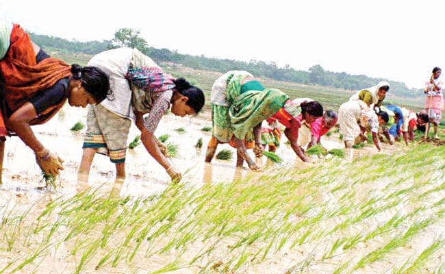 समतामूलक रहा है मुंडा समाज