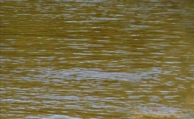 बच्चे को नहर में फेंक मां ने भी लगायी छलांग, फिर...