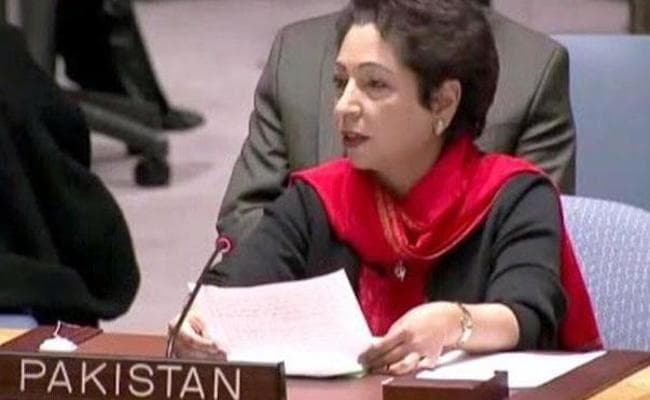 संयुक्त राष्ट्र में पाकिस्तान ने कहा-हमारे देश में आतंकियों के लिए कोई जगह नहीं