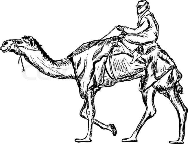 साहित्य संध्या में आज पढ़ें कहानी ‘ छाया’