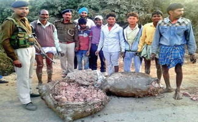 Jharkhand : सरायकेला-खरासवां के एक गांव में रूई की तरह बोरी में भरकर रखे थे 100 किलो रुपये, क्या है पूरा मामला