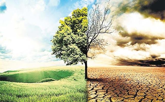 टिकाऊ विकास के चलते हो रही टिकाऊ पर्यावरण की अनदेखी