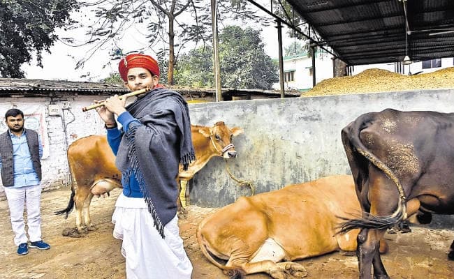बांसुरी बजा तेज प्रताप ने मनाया नववर्ष